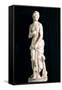 Statue of the Chaste Venus, from Carthage-null-Framed Stretched Canvas