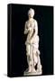 Statue of the Chaste Venus, from Carthage-null-Framed Stretched Canvas