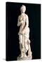 Statue of the Chaste Venus, from Carthage-null-Stretched Canvas