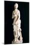 Statue of the Chaste Venus, from Carthage-null-Mounted Premium Photographic Print