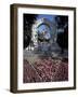 Statue of the Composer Johann Strauss on the Strauss Memorial, Vienna-Richard Nebesky-Framed Photographic Print