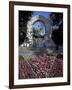 Statue of the Composer Johann Strauss on the Strauss Memorial, Vienna-Richard Nebesky-Framed Photographic Print