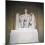 Statue of the Lincoln Memorial-null-Mounted Photographic Print