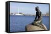 Statue of the Little Mermaid in Copenhagen, Denmark, Scandinavia, Europe-Simon Montgomery-Framed Stretched Canvas