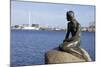 Statue of the Little Mermaid in Copenhagen, Denmark, Scandinavia, Europe-Simon Montgomery-Mounted Photographic Print