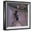 Statue of the Manneken Pis, Brussels (Bruxelles), Belgium, Europe-Roy Rainford-Framed Photographic Print