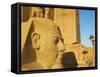 Statue of the Pharaoh Ramesses Ii and Obelisk, Temple of Luxor, Thebes, UNESCO World Heritage Site,-Tuul-Framed Stretched Canvas