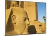 Statue of the Pharaoh Ramesses Ii and Obelisk, Temple of Luxor, Thebes, UNESCO World Heritage Site,-Tuul-Mounted Photographic Print