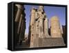 Statue of the Pharaoh Ramses II, Luxor Temple, Thebes, Unesco World Heritage Site, Egypt-Nico Tondini-Framed Stretched Canvas