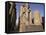 Statue of the Pharaoh Ramses II, Luxor Temple, Thebes, Unesco World Heritage Site, Egypt-Nico Tondini-Framed Stretched Canvas