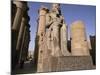 Statue of the Pharaoh Ramses II, Luxor Temple, Thebes, Unesco World Heritage Site, Egypt-Nico Tondini-Mounted Photographic Print