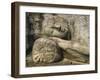 Statue of the Reclining Buddha, Attaining Nirvana, Gal Vihara, Polonnaruwa, Sri Lanka-Robert Harding-Framed Photographic Print