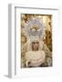 Statue of the Virgin Mary in a Cordoba church, Cordoba, Andalucia, Spain-Godong-Framed Photographic Print