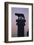 Statue of the wolf suckling Romulus and Remus-Unknown-Framed Photographic Print