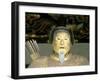 Statue of Tokugawa Shogun, Toshogu Shrine, Tochigi, Nikko, Japan-Rob Tilley-Framed Photographic Print