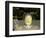 Statue of Tokugawa Shogun, Toshogu Shrine, Tochigi, Nikko, Japan-Rob Tilley-Framed Photographic Print