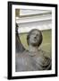 Statue of Venus, Roman Goddess of Love-Kallimachos Kallimachos-Framed Photographic Print