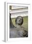 Statue of Venus, Roman Goddess of Love-Kallimachos Kallimachos-Framed Photographic Print