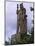 Statue of William Wallace, Stirling, Stirlingshire, Scotland, UK-Patrick Dieudonne-Mounted Photographic Print