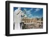 Statue Overlooking St. Peters Square-null-Framed Photographic Print