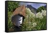 Statue with Agapanthus and Table Mountain Behind-Eleanor-Framed Stretched Canvas