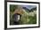 Statue with Agapanthus and Table Mountain Behind-Eleanor-Framed Photographic Print