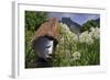 Statue with Agapanthus and Table Mountain Behind-Eleanor-Framed Photographic Print