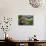 Statue with Agapanthus and Table Mountain Behind-Eleanor-Mounted Photographic Print displayed on a wall