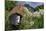 Statue with Agapanthus and Table Mountain Behind-Eleanor-Mounted Photographic Print