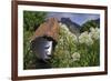 Statue with Agapanthus and Table Mountain Behind-Eleanor-Framed Photographic Print