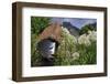 Statue with Agapanthus and Table Mountain Behind-Eleanor-Framed Photographic Print