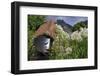 Statue with Agapanthus and Table Mountain Behind-Eleanor-Framed Photographic Print