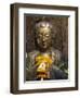 Statue with Offering of Marigold Flowers, Emerald Buddha Temple, Bangkok, Thailand, Southeast Asia-Alain Evrard-Framed Photographic Print