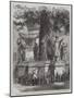 Statues around a Lime-Tree in Nuremberg Castle-null-Mounted Giclee Print