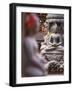 Statues at Swayambhunath Stupa (UNESCO World Heritage Site), Kathmandu, Nepal-Ian Trower-Framed Photographic Print