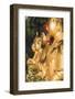 Statues at Ten Thousand Buddhas Monastery, Shatin, New Territories, Hong Kong, China, Asia-Ian Trower-Framed Photographic Print