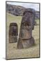 Statues Called Moais at Rano Raraku-Hal Beral-Mounted Photographic Print