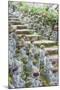 Statues in Daisho-In Buddhist Temple, Miyajima Island, Hiroshima Prefecture, Honshu, Japan, Asia-Christian Kober-Mounted Photographic Print