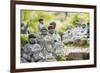 Statues in Daisho-In Buddhist Temple, Miyajima Island, Hiroshima Prefecture, Honshu, Japan, Asia-Christian Kober-Framed Photographic Print