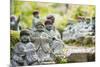 Statues in Daisho-In Buddhist Temple, Miyajima Island, Hiroshima Prefecture, Honshu, Japan, Asia-Christian Kober-Mounted Photographic Print