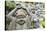 Statues in Daisho-In Buddhist Temple, Miyajima Island, Hiroshima Prefecture, Honshu, Japan, Asia-Christian Kober-Stretched Canvas