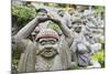 Statues in Daisho-In Buddhist Temple, Miyajima Island, Hiroshima Prefecture, Honshu, Japan, Asia-Christian Kober-Mounted Photographic Print