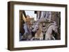 Statues in the Palazzo Vecchio-Terry Eggers-Framed Photographic Print