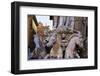 Statues in the Palazzo Vecchio-Terry Eggers-Framed Photographic Print