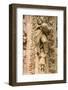 Statues, Notre-Dame de Reims Cathedral, Reims, Marne, Champagne-Ardenne, France-Godong-Framed Photographic Print