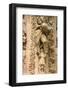 Statues, Notre-Dame de Reims Cathedral, Reims, Marne, Champagne-Ardenne, France-Godong-Framed Photographic Print