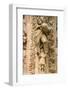 Statues, Notre-Dame de Reims Cathedral, Reims, Marne, Champagne-Ardenne, France-Godong-Framed Photographic Print