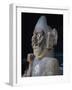 Statues of Anthropomorphic Standard-Bearers-null-Framed Giclee Print
