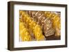 Statues of Buddha for Sale, Shwezigon Paya (Pagoda), Nyaung U-Stephen Studd-Framed Photographic Print