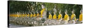 Statues of Buddha in a Temple, Wat Yai Chai Ya Mongkhon, Ayuthaya, Thailand-null-Stretched Canvas